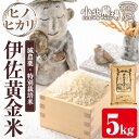 【ふるさと納税】《数量限定》小北農場のお米 伊佐黄金米〈ヒノヒカリ〉(5kg) 鹿児島 伊佐 お米 特別栽培米 伊佐米 白米 ヒノヒカリ ひのひかり おにぎり ...