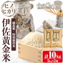 【ふるさと納税】《数量限定》小北農場のお米 伊佐黄金米〈ヒノヒカリ〉(10kg) 鹿児島 伊佐 お米 特別栽培米 伊佐米 白米 ヒノヒカリ ひのひかり おにぎり...