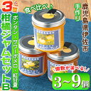 【ふるさと納税】<個数が選べる>3種の柑橘ジャム食べ比べセットB(3個 or 6個 or 9個) 加工食品 果物 フルーツ 詰め合わせ 果肉 柑橘 低糖 ハンド...