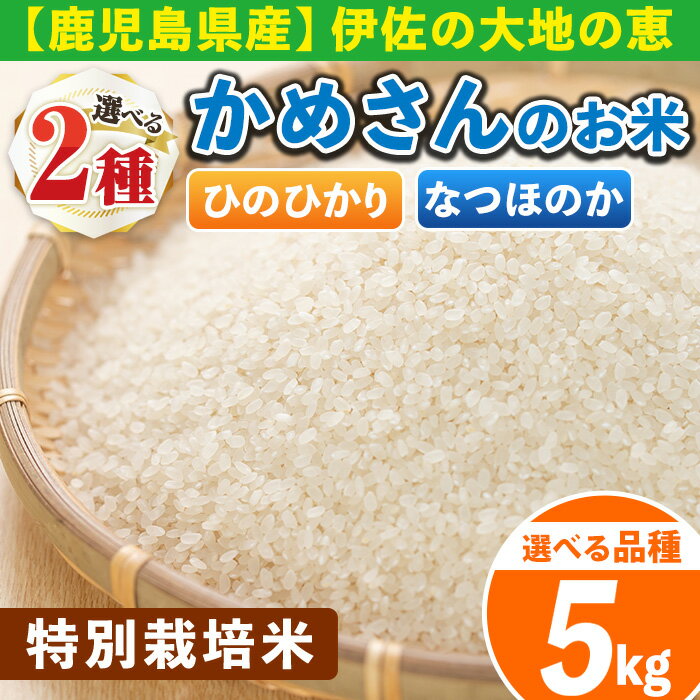 [選べる品種]かめさんのお米(5kg・ひのひかりorなつほのか) 伊佐米 白米 精米 ヒノヒカリ ナツホノカ ひのひかり なつほのか[Farm-K]