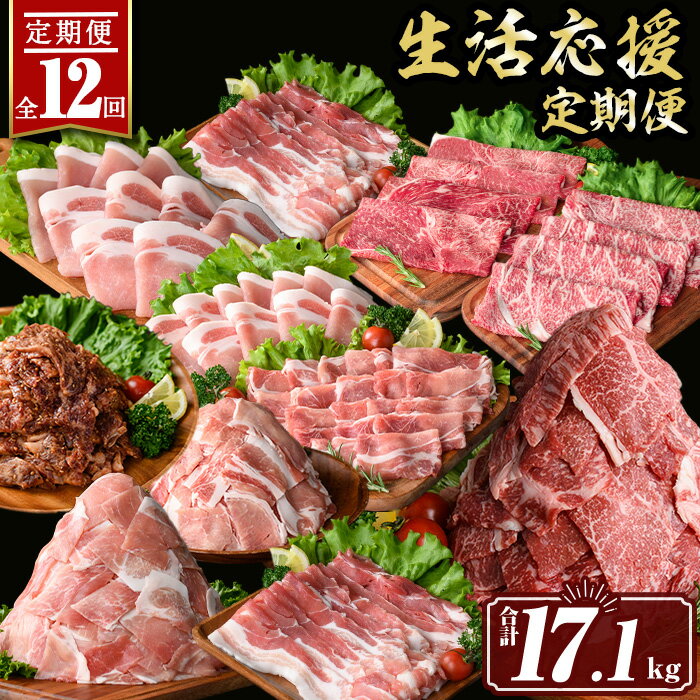 【ふるさと納税】【定期便12回】豚・牛が交互に届く生活応援定期便(合計17.5kg) 肉 豚肉 牛肉 霜降り すきやき しゃぶしゃぶ スライス 生姜焼き 豚バラ 切り落とし 焼肉 冷凍 ロース カタロース 肩ロース BBQ アウトドア コンシェルジュ【サンキョーミート株式会社】