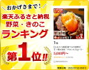 鹿児島県姶良市の画像2