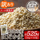 【ふるさと納税】《訳あり》姶良市産はだか麦35g×15包(合計525g)国産 姶良市 ご飯 麦ごはん はだか麦 穀物 食物繊維 小分け 常温 常温保存 メール便 【竹之内穀類産業】