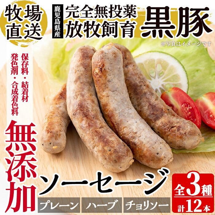 [保存料・発色剤・結着材・合成着色料 無添加]月ノ灯牧場直送!鹿児島県産黒豚ソーセージ3種盛り合わせ計12本(ソーセージ4本・ハーブソーセージ4本・チョリソー4本) 国産 豚肉 黒豚 ソーセージ セット 鹿児島[pig village company]