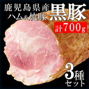 【ふるさと納税】鹿児島県産 黒豚ハム・焼豚 3本セット 【財宝】