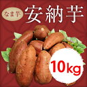 【ふるさと納税】鹿児島産 安納芋10kg【甘いも販売所】
