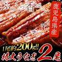 【ふるさと納税】鹿児島県産 特大うなぎ200g×2尾【財宝】