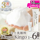 【ふるさと納税】<容量・定期便が選べる>白土洗顔料 kingokingo(お試しサイズ・通常サイズ1~6本泡立てネット付) メール便 サンプル ミニサイズ トライアル スキンケア 泡 濃密泡 もっちり泡 洗顔料 洗顔 洗顔フォーム きんごきんご【てんげん】