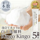 1位! 口コミ数「14件」評価「4.86」＜本数が選べる＞白土洗顔料 kingokingo(計1本～5本・泡立てネット)泡 濃密泡 もっちり泡 洗顔料 洗顔 洗顔フォーム きんごきん･･･ 