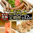 製品仕様 商品名 鹿児島黒豚「短鼻豚」無添加ソーセージ＆生餃子＆しゃぶしゃぶ(12回定期便) 名称 精肉・加工品 原材料名 【スモ...