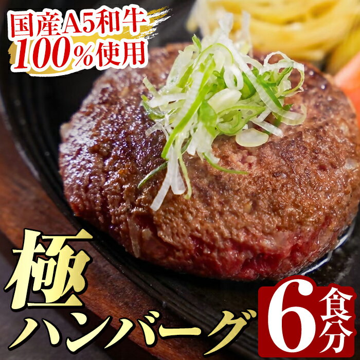 生食感ハンバーグ!やまさきの焼肉A5ランク極ハンバーグ150g×6袋(合計900g)国産 肉 牛 牛肉 総菜 冷凍ハンバーグ おかず 簡単 冷凍 個包装 小分け 一人暮らし 牛100%[やまさき]