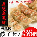【ふるさと納税】鹿児島黒豚「短鼻豚」餃子セット(オーガニック...