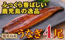 【ふるさと納税】鹿児島県産 特上うなぎ160g×4尾【財宝】...
