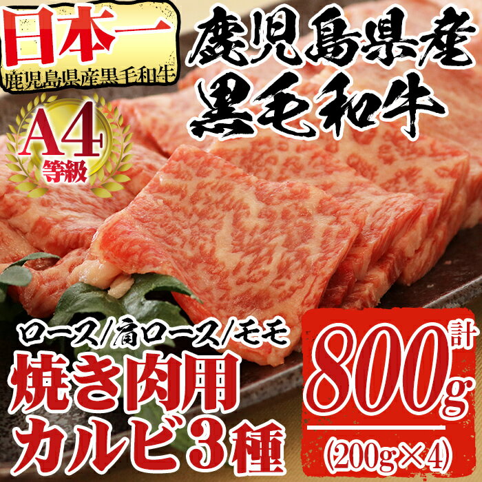 【ふるさと納税】鹿児島県産黒毛和牛(A4等級)焼肉用スライス牛肉(計800g)カルビ3種詰め合わせセット【財宝】