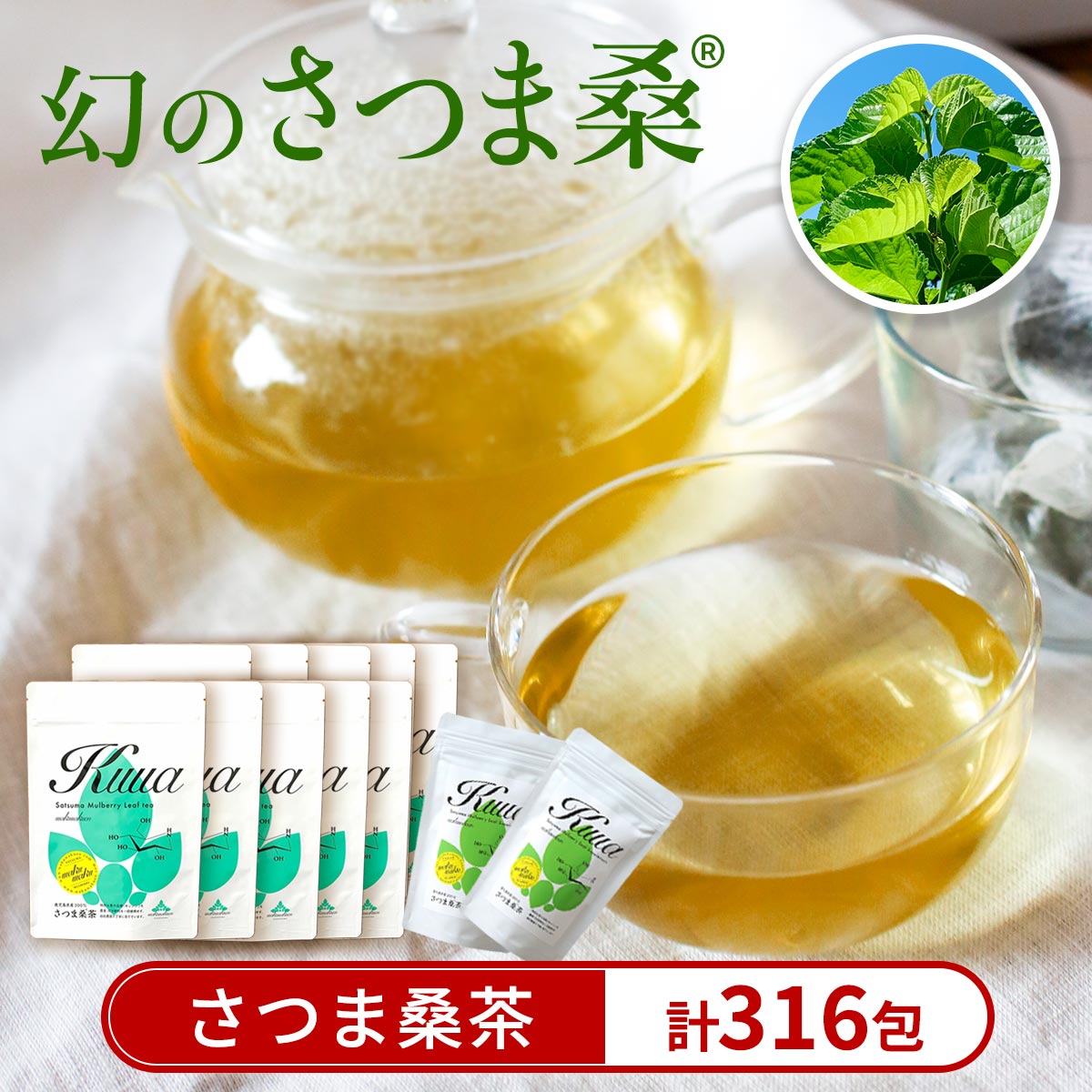 さつま桑茶10袋セット 桑の葉 桑 桑茶 有機栽培 有機JAS 国産 高級品種 センシン[わくわく園]