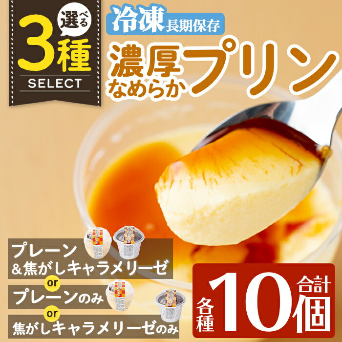 【ふるさと納税】選べる冷凍プリン！濃厚なめらかプリン各種合計10個(プレーン＆焦がしキャラメリーゼ計10個・プレーン10個・キャラメ..