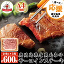 【ふるさと納税】食べて応援！鹿児島県産黒毛和牛＜A4等級＞サーロインステーキ計600g(200g×3枚)牛肉部位の中でもうまさと甘さが絶妙なバランスのサーロインをステーキでお届け【財宝】