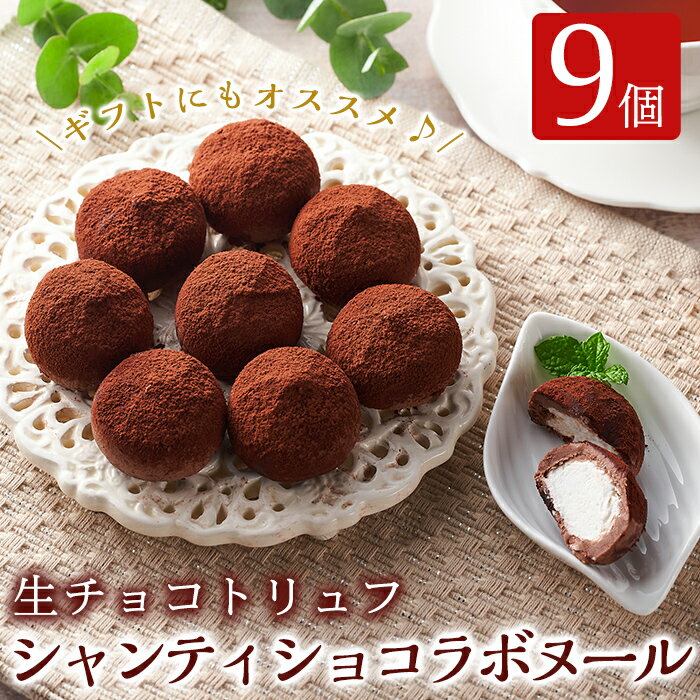【ふるさと納税】生チョコトリュフ！シャンティショコラボヌール(9個入×1箱)生クリームをチョコレートでふんわり包んだ新感覚のスイーツ【財宝】のサムネイル