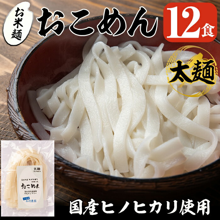 【ふるさと納税】おこめん太麺(100g×12食)麺 太麺 グ