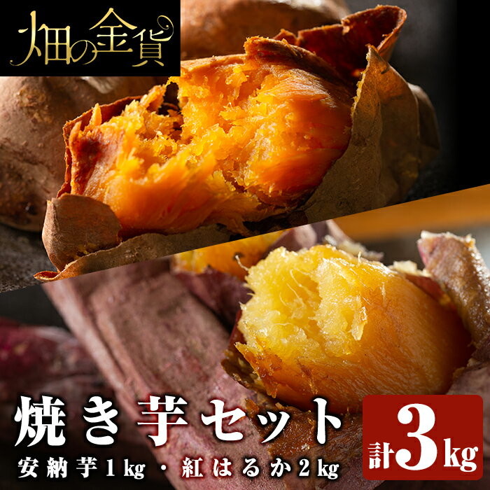 市場 ふるさと納税 かのや紅はるか Sサイズ 10kg 定められた栽培基準等をクリアした濃厚でしっとりとした食感の紅はるか 生芋 市場 ふるさと納税 かのや紅はるか Sサイズ 10kg 定められた栽培基準等をクリアした濃厚でしっとりとした食感の紅はるか 生芋