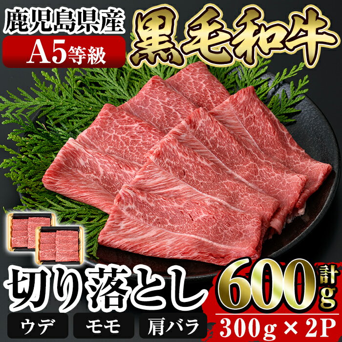 ≪A5等級≫鹿児島県産黒毛和牛切り落とし計600g(300g×2P) 国産 肉 牛肉 牛 黒毛和牛 切落し 切り落とし ウデ モモ 肩バラ[水迫畜産]