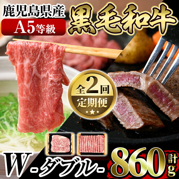 《定期便全2回》A5等級！鹿児島県産黒毛和牛W(ダブル)ロースステーキ(180g×2枚)薄切りしゃぶしゃぶ・すきやき用(500g)国産 鹿児島産 肉 牛肉 牛 ロース ステーキ しゃぶしゃぶ すき焼き 薄切り スライス 冷凍【水迫畜産】