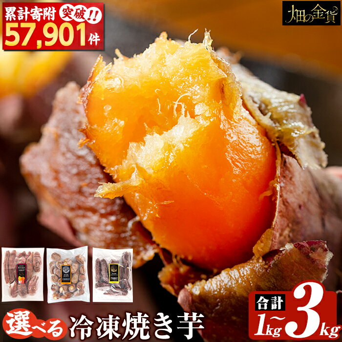 【ふるさと納税】選べる冷凍焼き芋!畑の金貨・やきいも1kg〜3kg(3種セット・紅はるか・安納芋・シルクスイート・紅はるか&シルクスイート2種セット) 冷凍 さつまいも 訳あり 紅はるか 焼き芋 やきいも 食べ比べ さつま芋 熟成 5000円 姶良市【甘いも販売所】