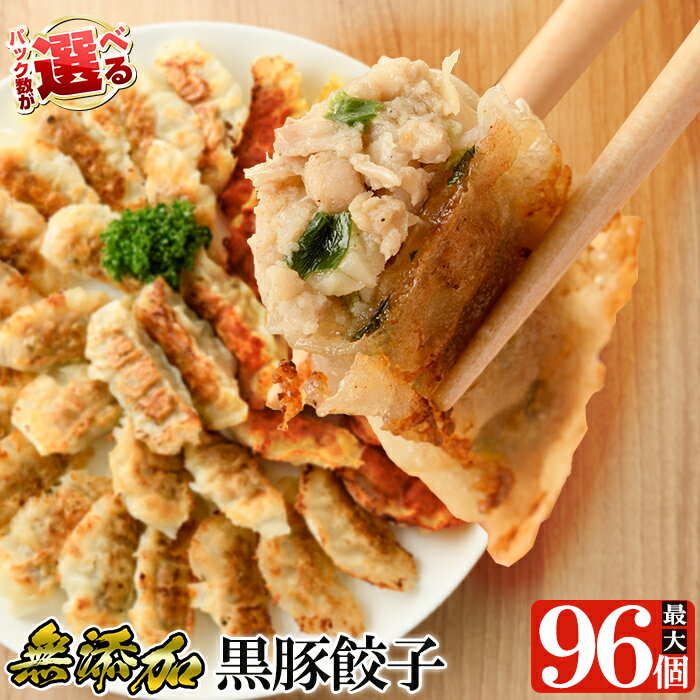 鹿児島県姶良市 鹿児島黒豚短鼻豚 餃子