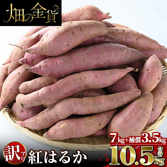 【ふるさと納税】《訳あり》畑の金貨・鹿児島県産 薩摩のはるか姫 訳あり紅はるか7kgと補償3.5kg 合計10.5kg(生芋)国産 鹿児島県産 姶良市 さつまいも さつま芋 サツマイモ べにはるか 貯蔵 熟成 蜜芋 蜜いも【甘いも販売所】