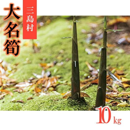 【2024年お届け】大名筍 10kg ( 約32本 ) ( 竹島産 ) | 野菜 たけのこ 筍 竹の子 人気 おすすめ 送料無料 ご当地 鹿児島県 鹿児島 三島村