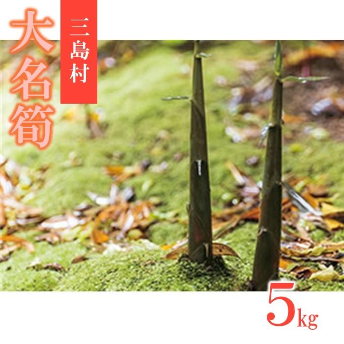 【2024年お届け】大名筍 5kg ( 約16本 ) (竹島産 ) | 野菜 たけのこ 筍 竹の子 人気 おすすめ 送料無料 ご当地 鹿児島県 鹿児島 三島村