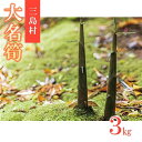 【ふるさと納税】大名筍 3kg ( 約11本 ) 竹島産 2024年5月中旬以降発送 先行受付 タケノコの王様 希少性 たけのこ タケノコ 筍 竹の子 野菜 やさい 山菜 人気 送料無料