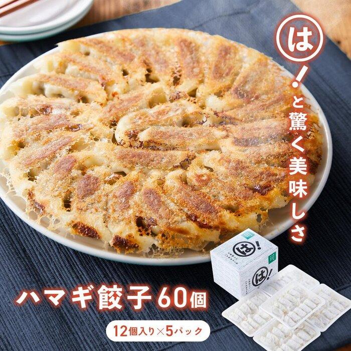 は！と美味しいハマギ餃子　12個入り×5パック | 食品 加工食品 人気 おすすめ 送料無料