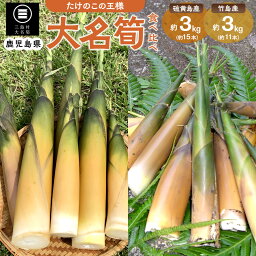 【ふるさと納税】【2026年お届け】大名筍 食べ比べ セット 合計6kg ( 硫黄島産 3kg & 竹島産 3kg ) | 筍 たけのこ 竹の子 皮付き 山菜 高級 稀少 ≪5月初旬より発送開始≫