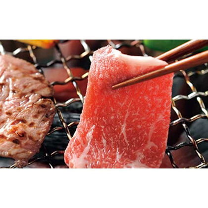 鹿児島県産 黒毛和牛 焼肉用（肩肉700g） | 肉 お肉 牛肉 和牛 にく 精肉 焼肉 やきにく 焼き肉