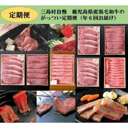 定期便 全6回 三島村自慢 がっつい定期便 | 偶数月にお届け お楽しみ 肉 お肉 牛肉 和牛 にく すき焼き しゃぶしゃぶ 鍋 お鍋 焼肉 焼き肉 ステーキ