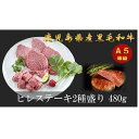 【ふるさと納税】A5等級 鹿児島県産 黒毛和牛 ヒレ ステーキ 2種盛り 480g ( 240g×2 ) | 肉 お肉 牛肉 和牛 にく 精肉