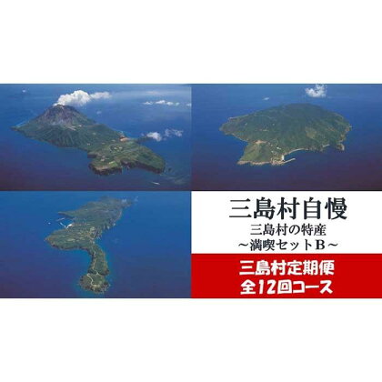 【定期便】三島村自慢　三島村の特産満喫セット（年12回お届け）B | 黒毛和牛 ステーキ しゃぶしゃぶ 酒 焼酎 アルコール お菓子 定期便 ご当地 グルメ お取り寄せ お取り寄せグルメ おすすめ 人気 鹿児島県 三島村