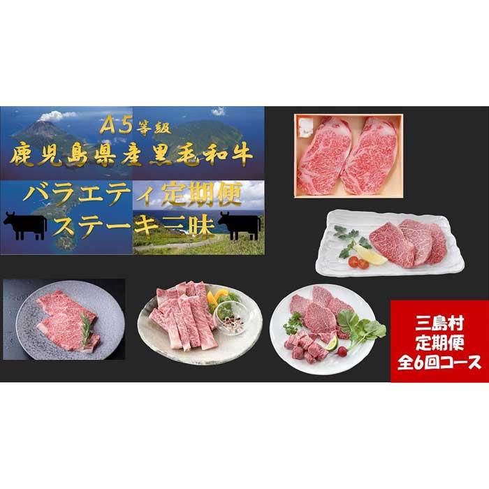 4位! 口コミ数「0件」評価「0」【定期便/全6回】バラエティ定期便　鹿児島県産黒毛和牛ステーキ三昧！（2023年10月リニューアル） | 黒毛和牛 ステーキ ヒレ 定期便 ･･･ 