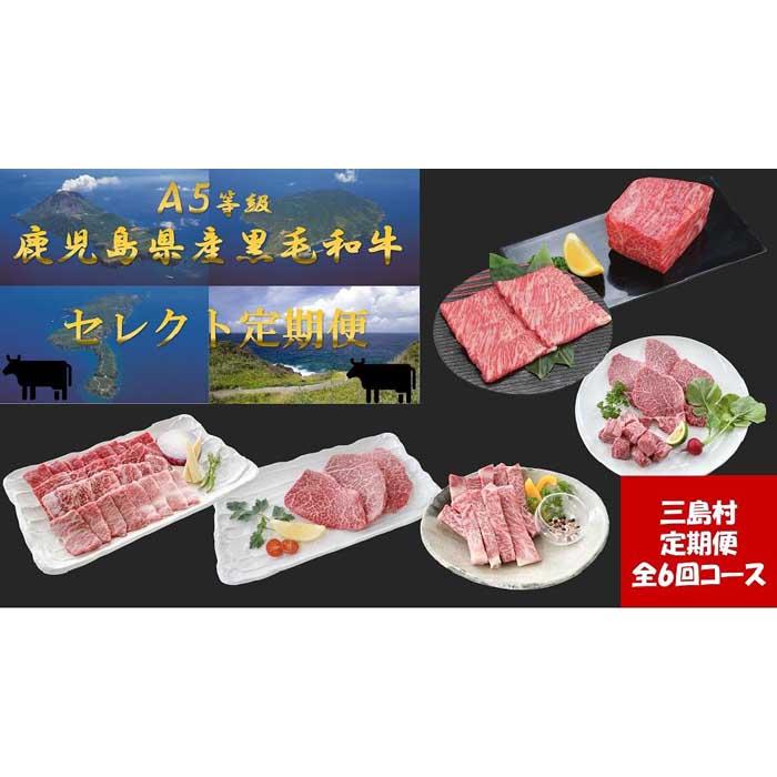 2位! 口コミ数「0件」評価「0」【定期便/全6回】セレクト定期便 A5等級 鹿児島県産黒毛和牛（2023年10月リニューアル） | 黒毛和牛 ステーキ ヒレ ブロック肉 定･･･ 