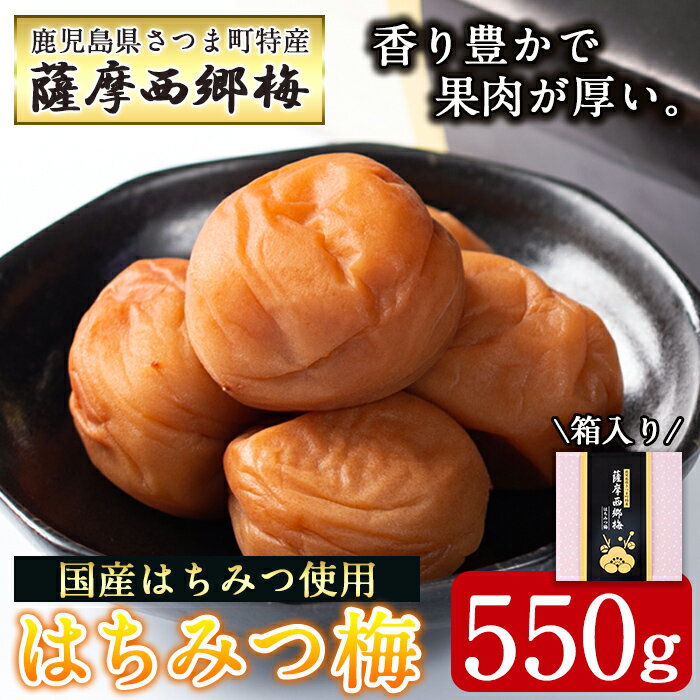 薩摩西郷梅はちみつ梅(550g) 箱入り はちみつ まろやか 南高梅 梅干し うめぼし 粒 大きい 贈答 ギフト 常温[薩摩西郷梅生産組合]