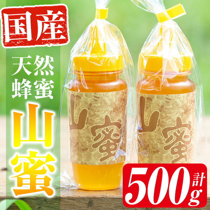 【ふるさと納税】国産天然山蜜チューブタイプ(250g×2本 計500g) 鹿児島 天然 100% 純粋はちみつ 蜂蜜 ハニー チューブタイプ ヨーグルト パン【下市養蜂場】