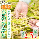 【ふるさと納税】＜内容量が選べる＞令和5年産 かじやさん家の