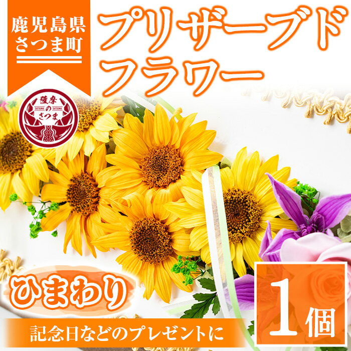 ≪毎月数量限定≫プリザーブドフラワー(ひまわり) 鹿児島 花 フラワー プレゼント ギフト インテリア 記念日 誕生日 結婚祝い 祝い お供え[南原農園]