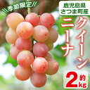 【ふるさと納税】<先行予約受付中!8月下旬〜9月中旬頃迄に発...