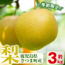 【ふるさと納税】<先行予約受付中!2025年8月下旬より順次発送予定>《期間・数量限定》さつま町産の梨(3kg) 鹿児島 国産 なし ナシ フルーツ 果物 果実 果汁 旬 季節品 【市山梨花園】