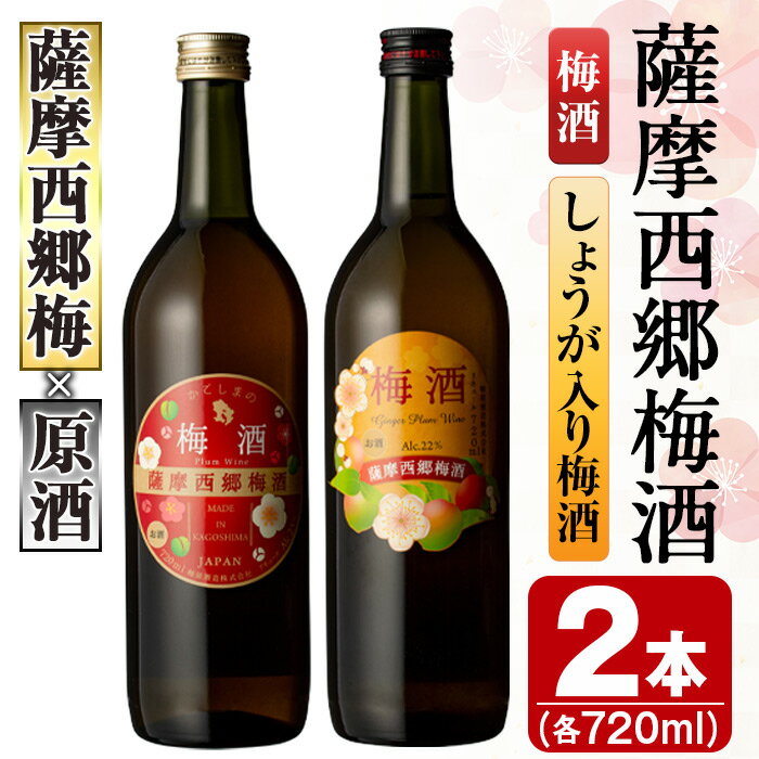 [毎月数量限定]薩摩西郷梅酒2本セット(梅酒、しょうが入り梅酒720ml各1本) 鹿児島 アルコール 酒 梅酒 飲み比べ セット 生姜 しょうが ロック お湯割り ソーダ割[鹿児島マテリアル]