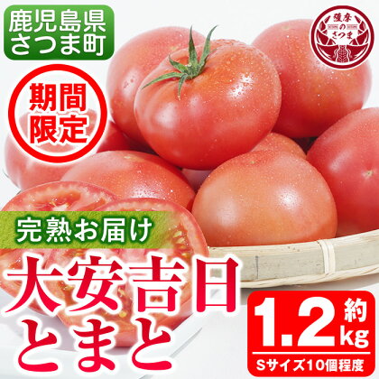 さつま町産の大安吉日とまと(約1.2kg) 鹿児島 国産 九州産 トマト 野菜【市囿庄一】