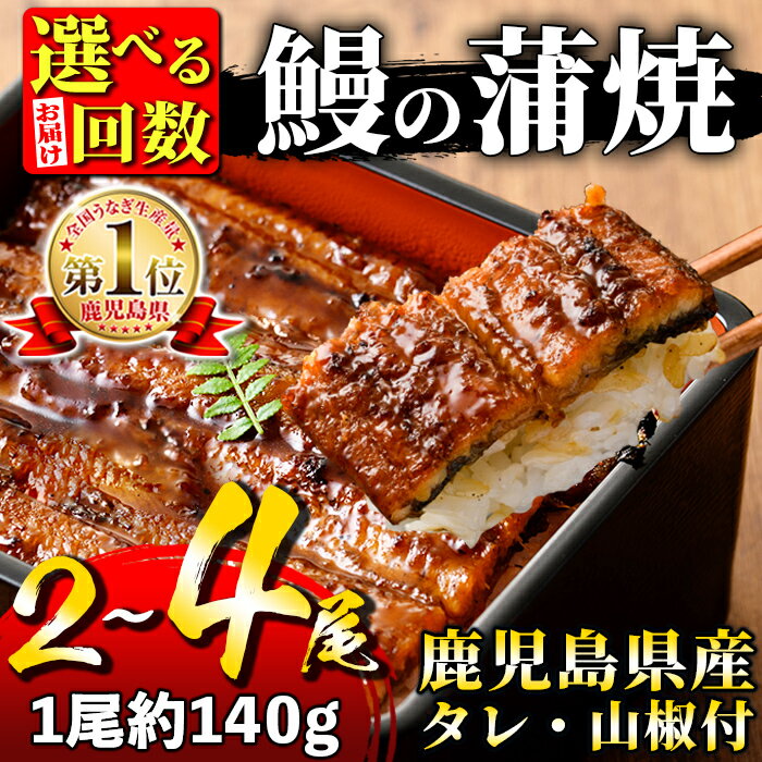 【ふるさと納税】＜内容量・お届け回数が選べる！＞鹿児島県産 鰻蒲焼真空セット！...