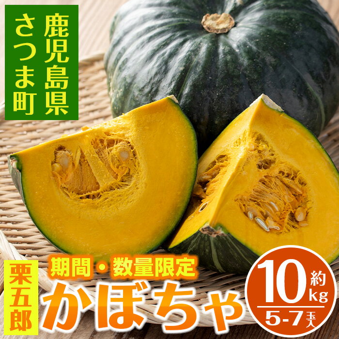 【ふるさと納税】<先行予約受付中!2025年6月中旬~7月中旬の間に発送予定>さつま町産のかぼちゃ・栗五郎(約10kg・5〜7玉入り) 鹿児島 国産 九州産 かぼちゃ 南瓜 野菜 煮物 天ぷら サラダ【小山農園】